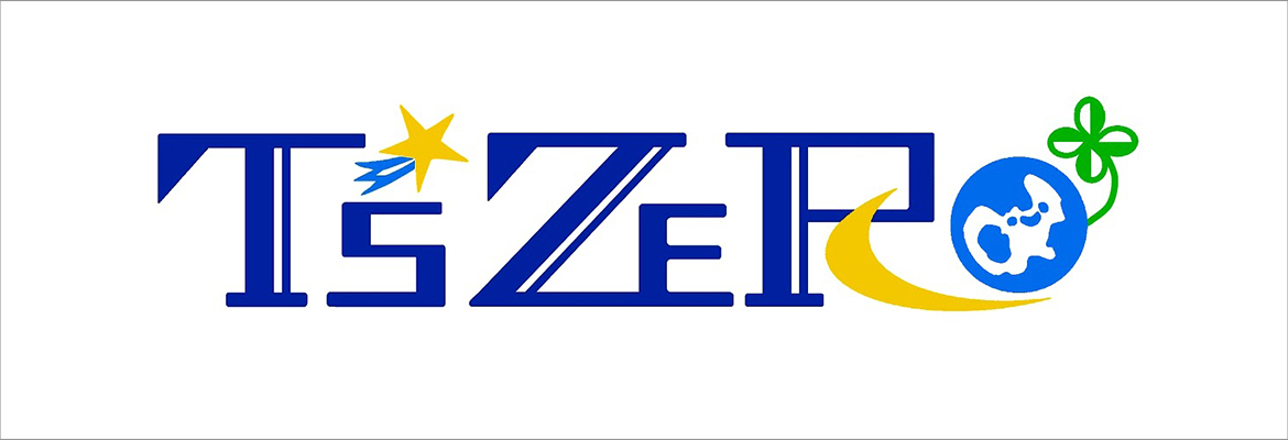 TsZeRO